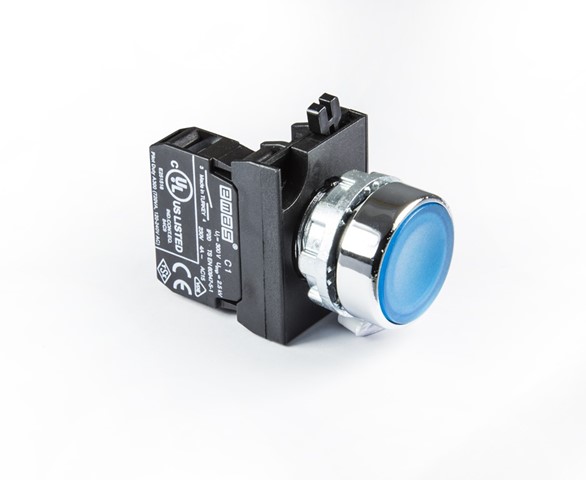 CM Series Metal 1NO Spring Flush Blue 22 mm Control Unit